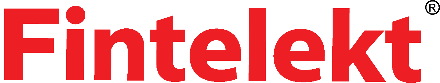 Fintelekt